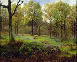 In het bos